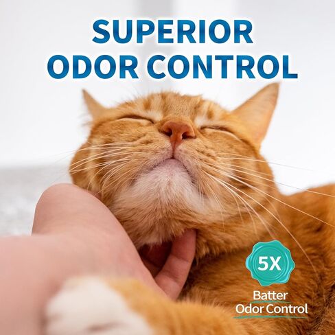 Crystal Cat Litter for Cat,2 Pack, 6.7Ibs in Kuwait