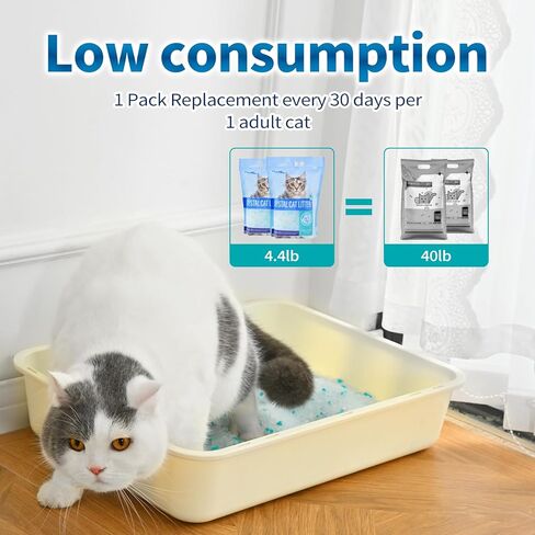 Crystal Cat Litter for Cat,2 Pack, 6.7Ibs in Kuwait