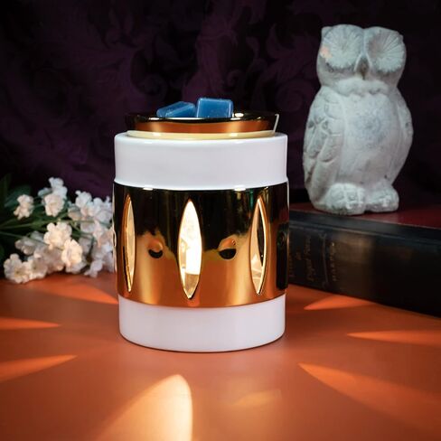 Scentsationsals Wax Melt أكثر دفئًا ، دافئًا للشمع لذوبان الشمع المعطرة - مجموعة العسل الحديثة Capiz - شمع الشمع لمكعبات العطور والفطائر in Saudi Arabia