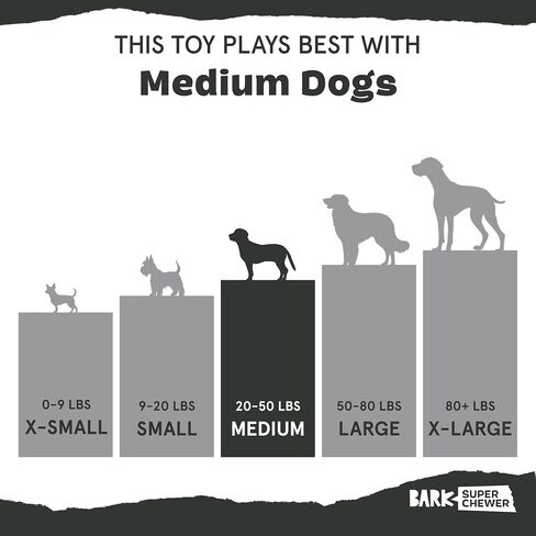 Barkbox I-Squeak Cone Dog Toy for Large Dogs, Perfect for Treat Spreading with a Wacky Bounce for Endless Playtime in Kuwait