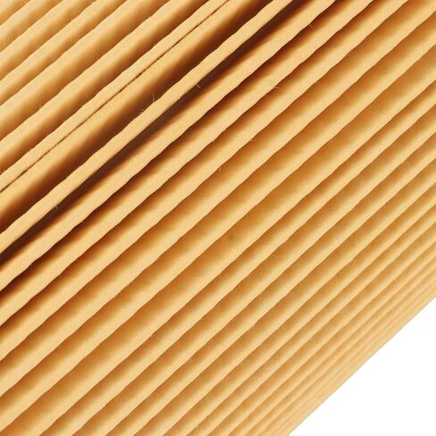FS20173 Fuel Water Separator Filter Cartridge Replaces K37-1012 FS20172 in Saudi Arabia