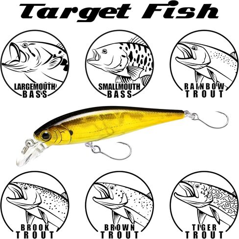 Lucky Craft Pointer 65 SFT ~ نغمة خطاف مفرد ~ ، إغراء سمك السلمون المرقط ، طعم الصيد ، jerkbait in Saudi Arabia