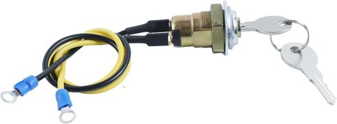 2x مفاتيح الإشعال مع مفاتيح 8N3679C 764929M91 1100-0959 متوافق مع فورد 2N 8N 9N NAA Jubilee 501 600 601 700 701 800 801 900 2000 4000 Tractors 40 50 60 6030 6030 7020 TRACTORS in Saudi Arabia