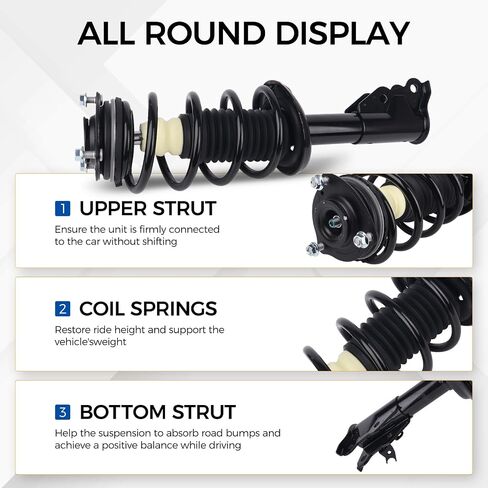 Strutber Stricber Strutber من أجل 2006-2011 Acura CSX ، 2006-2011 Honda Civic W/Coil Spring Assembly Front & Great Resident and Right 172287 172286 5609 (مجموعة من 4) in Saudi Arabia