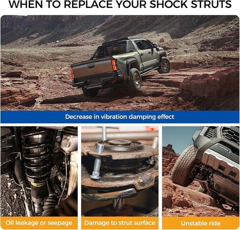 Strutber Stricber Strutber من أجل 2006-2011 Acura CSX ، 2006-2011 Honda Civic W/Coil Spring Assembly Front & Great Resident and Right 172287 172286 5609 (مجموعة من 4) in Saudi Arabia