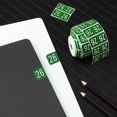 Teling 500 Pcs 2025 Year Stickers File Folder Labels Rectangle Coded Colored Year Stickers Self Adhesive Labels Tab File Folders Office Supplies, 1 Roll(Purple, Silver) in Kuwait