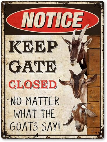 Funny Goats Metal Sign - Live Like Someone Left The Gate Open, Perfect Wall Decor and Gift for Goat Lovers, Farmer Rust Free 9" X 11", Pre-Drilled Holes, Weather Resistant in Kuwait