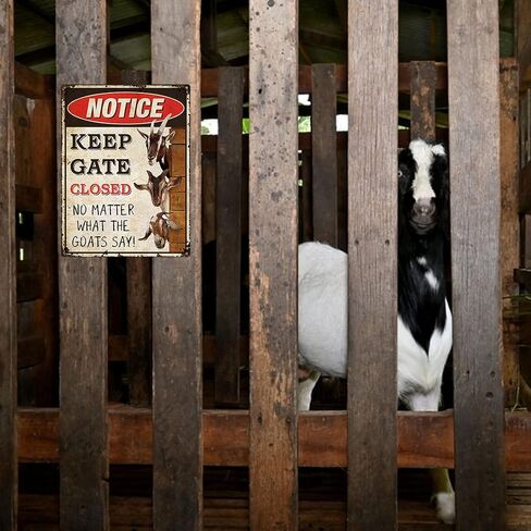 Funny Goats Metal Sign - Live Like Someone Left The Gate Open, Perfect Wall Decor and Gift for Goat Lovers, Farmer Rust Free 9" X 11", Pre-Drilled Holes, Weather Resistant in Kuwait
