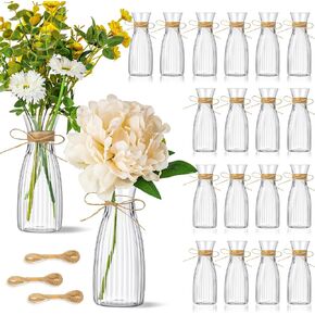 20 Pcs Plastic Flower Bud Vases Bulk with Twines Ropes Small Mini Flower Vases for Centerpieces Decorative Plastic Bottles for Wedding Reception Dining Table Home Decoration(Transparent) in Saudi Arabia