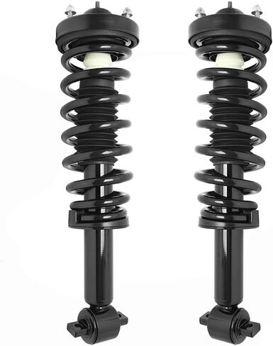 COMPLETESTRUTS Front Quick Complete Strut Assemblies with Coil Springs Replacement for 2014 Ford F-150 RWD V6 - Set of 2 in Saudi Arabia