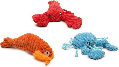 HuggleHounds Knottie Plush Dog Toy - Dog Stuffed Animal Toy, Puppy Toys, Squeaky Dog Toy for Small, Medium & Large Dogs, Durable Plush to Keep Them Busy - Rainbow Trout, Small in Kuwait