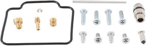All Balls Racing 26-1042 Carburetor Rebuild Kit Compatible with/Replacement For Polaris Hawkeye 300 2x4 2006-2011, Hawkeye 300 4x4 2006-2007, Sportsman 300 4x4 2008-2010 in Saudi Arabia