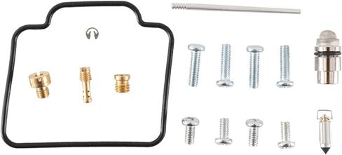 All Balls Racing 26-1042 Carburetor Rebuild Kit Compatible with/Replacement For Polaris Hawkeye 300 2x4 2006-2011, Hawkeye 300 4x4 2006-2007, Sportsman 300 4x4 2008-2010 in Saudi Arabia