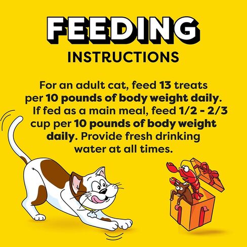 Temptations Birthday Crunchy and Soft Cat Treats Lobster and Beef Flavor, 16 oz. Tub in Saudi Arabia