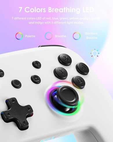 BINBOKPLAY Switch Controller, Switch Controller Compatible with Switch/Switch Lite, Wireless Gamepad with LED Colors/Motion Control/Dual Vibration/Turbo（gray） in Saudi Arabia
