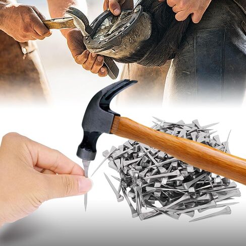 250pcs E3 Horseshoe Nails 1.21 Inch Stainless Steel HorseShoe Nails Nails Horse Hoof Nails Horseshoe Tools for Stained Glass,Horse Training Equestrian Sports in Saudi Arabia