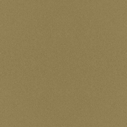 R&E Paint Supply Compatible with Toyota 6R6, Grayish Green Pearl Metallic Automotive Paint, 11oz Aerosol in Saudi Arabia
