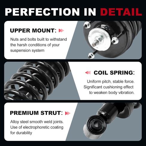 TOPAZ Front Left & Right Complete Strut Shock Absorber Compatible with 2003 2004 2005 2006 2007 2008 2009 2010 2011 Ford Crown Victoria for Lincoln Town for Mercury Grand Marquis Replace#171346 2PCS in Saudi Arabia