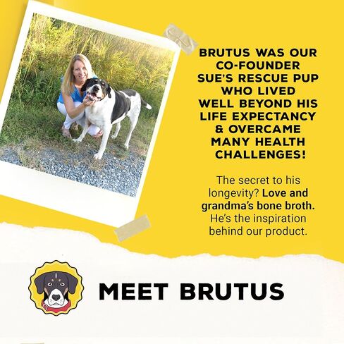 Brutus Broth Skin and Coat Meal Toppers for Dogs Mega Pack (Salmon Flavor) - Vegetable Broth Powder with Omegas 3, 6 & 9 - Dog Food Toppers for Dry Food - Makes 130oz of Liquid Bone Broth in Kuwait