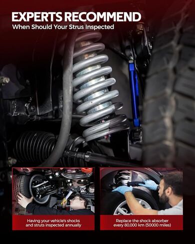 دعامات ممتص الصدمات الخلفية للسيارات من Torchbeam لـ Tahoe 01-06، Suburban 1500 00-06، Yukon 01-06، Yukon XL 1500 02-06 5.3L، Yukon XL 1500 00-01، Tahoe/Yukon 2000 4.8؛ 5.3 لتر 32348*2 in Kuwait