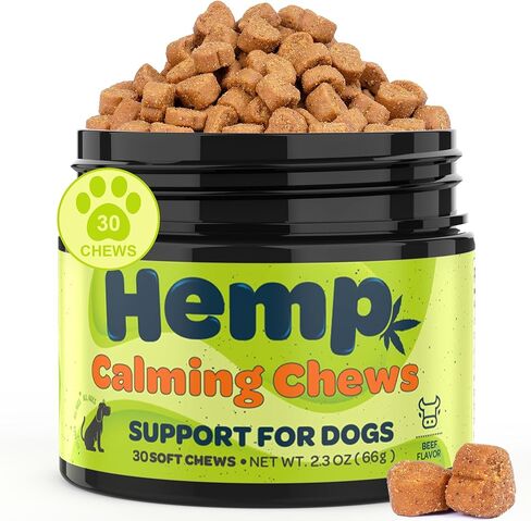 Zingly Hemp Calming Chews for Dogs Calming Treats Chews - Anxiety Relief Treats, Separation Anxiety Relief for Dogs Calming Treats Pet Calming Care Chews for Anti Anxiety Dogs, Bacon, 30 Counts in Kuwait