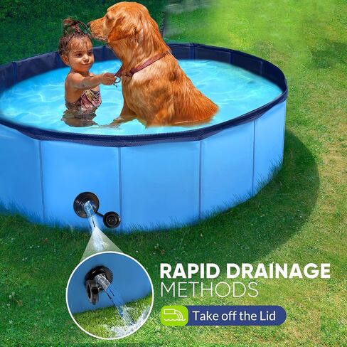 Dog Pool, Foldable Pet Swimming Pool with 6mm High-Strength PP Board, Hard Plastic Collapsible Doggy Pools for Small Dogs Kitty Duck,Non-Slip Doggie Bathtub Quick to Set Up and Drainage Hole(32x8in) in Kuwait