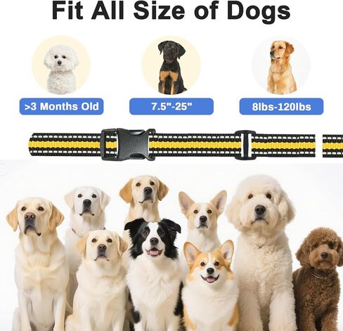 Dog Shock Collar with Remote Control - 2600ft 3 Modes Dog Training Collar, IPX7 Waterproof Dog Training Collar with Remote & LED Light, Security Lock, Flashlight, Beep Shock Collar for Dogs 8-120lbs in Saudi Arabia