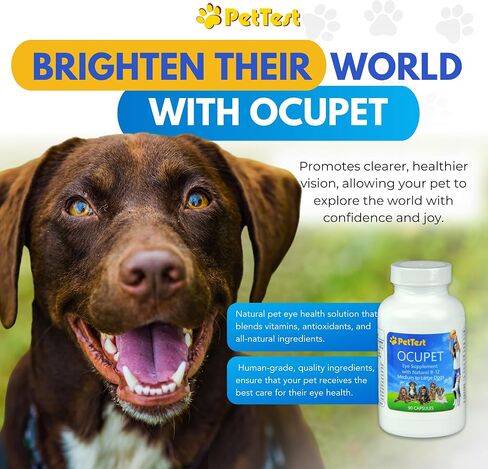 Ocupet Advanced Vision & Eye Health ملحق للقطط والكلاب الصغيرة المتوسطة ، معبأة مع B12 الطبيعي ، مستخلص بذور العنب واللوتين لدعم الحيوانات الأليفة مع مرض السكري أو الظروف المرتبطة بالعين-90 كبسولات in Kuwait