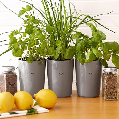 RSVP International Kitchen Organization Collection Spice Labels, Round, 50 Count in Kuwait