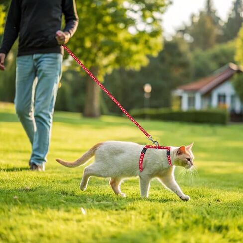 PAWCHIE Cat Harness and Leash Set, Cats Escape Proof-Adjustable Kitten Harness Lightweight Soft Outdoor Walking Travel Pet Safe Harness, Puppy Harness for Girl Cats Bunny Rabbit Small Dog, Pink S in Kuwait