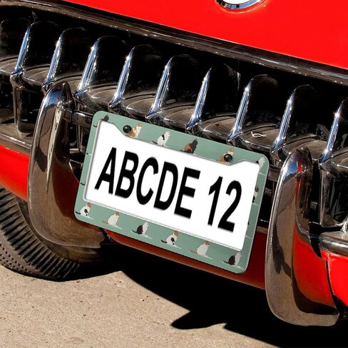 Cute Giraffe Leaves 2 Pack License Plate Frames,Stainless Steel Car License Plate Car Accessories with 2 Holes and Screws Universal Aluminum Tag Frame for Front and Rear Car Tags in Saudi Arabia