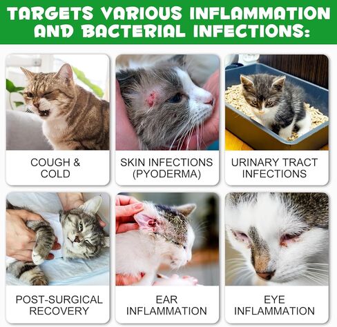 Urinary Tract for Cats, Natural Cat Urinary Tract Drops - Supports Bladder, Kidney Stone & Dog UTI Relief, Cranberry Kidney Bladder Drops, Herbal Supplement for Cats, Chicken Flavor - 60 ml / 2.02oz in Kuwait