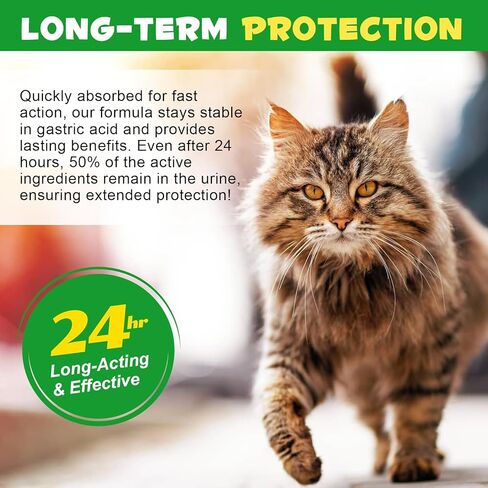 Urinary Tract for Cats, Natural Cat Urinary Tract Drops - Supports Bladder, Kidney Stone & Dog UTI Relief, Cranberry Kidney Bladder Drops, Herbal Supplement for Cats, Chicken Flavor - 60 ml / 2.02oz in Kuwait