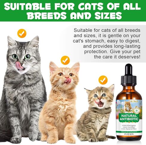 Urinary Tract for Cats, Natural Cat Urinary Tract Drops - Supports Bladder, Kidney Stone & Dog UTI Relief, Cranberry Kidney Bladder Drops, Herbal Supplement for Cats, Chicken Flavor - 60 ml / 2.02oz in Kuwait