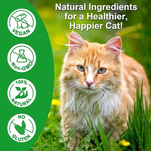 Urinary Tract for Cats, Natural Cat Urinary Tract Drops - Supports Bladder, Kidney Stone & Dog UTI Relief, Cranberry Kidney Bladder Drops, Herbal Supplement for Cats, Chicken Flavor - 60 ml / 2.02oz in Kuwait