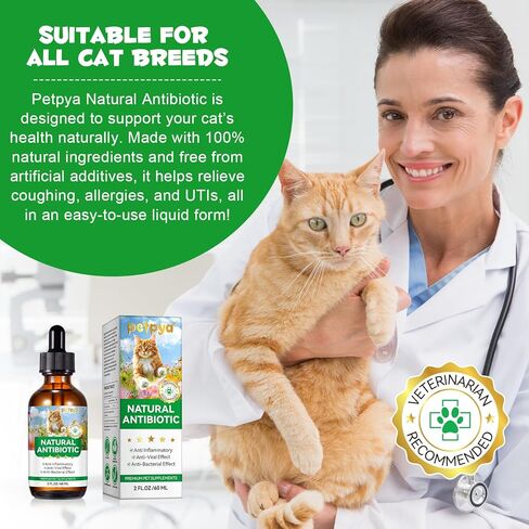 Urinary Tract for Cats, Natural Cat Urinary Tract Drops - Supports Bladder, Kidney Stone & Dog UTI Relief, Cranberry Kidney Bladder Drops, Herbal Supplement for Cats, Chicken Flavor - 60 ml / 2.02oz in Kuwait
