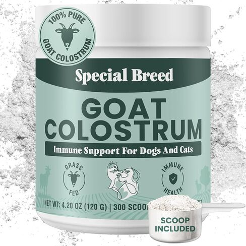 40 ٪ IgG Grass Fed Colostrum للكلاب ، تم اختبار الطرف الثالث IgG IgG ، الدعم المناعي ، صحة البشرة والأمعاء ، الحساسية الموسمية والراحة ، المصنوعة في الولايات المتحدة الأمريكية ، 2.5 أوقية in Kuwait