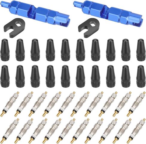 LinkStyle 44pcs Presta Valve Core Cap Kit مع أداة إصلاح الإزالة ، مجموعة أدوات الاستبدال السريعة للاستبدال بسرعة in Kuwait