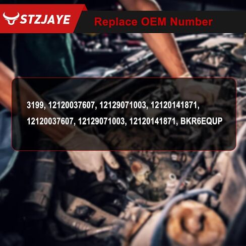 PLACS IRIDIUM Spark Plugs 6Pack 3199 متوافق مع BMW 320i 323CI 325CI 325I 325XI 328CI 328I 328IS 525I 528i 530i M3 X5 Z3 Z4 1992-2006 ، for Porsche for Cadillac for CTS 1212903 in Saudi Arabia