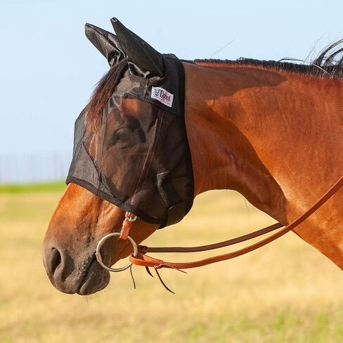 قناع ذبابة Cashel Crusader ، قياسي مع الأذنين (Pluma ، Warmblood) in Kuwait