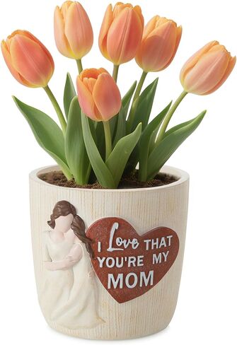Gardening Gifts for Women: 5.3in Plant Gifts for Plant Lovers - Plant Mom Gifts for Gardener - Plant Pot Garden Gifts for Mom Friends Lady Birthday Mothers Day in Kuwait
