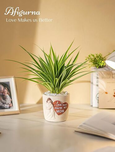 Gardening Gifts for Women: 5.3in Plant Gifts for Plant Lovers - Plant Mom Gifts for Gardener - Plant Pot Garden Gifts for Mom Friends Lady Birthday Mothers Day in Kuwait