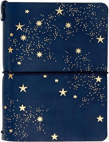 Erin Condren Clear Petite Planner Folio, Clear On The Go Folio with Fuchsia Vegan Leather Accents, Fits up to 4 Erin Condren Petite Planners and Journals in Saudi Arabia