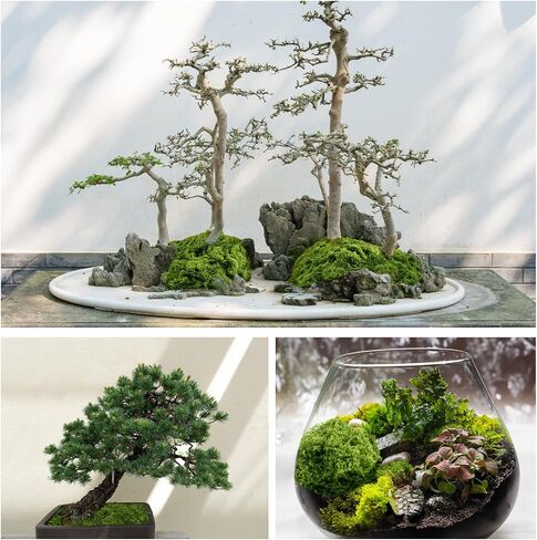 Draupnir Fake Green Moss for Potted Plants, 10.6OZ Moss Decor Artificial Faux Moss for Crafts Preserved Moss for DIY Decorative Moss Table Centerpieces Decor Fairy Garden Floral Wedding (300g) in Kuwait