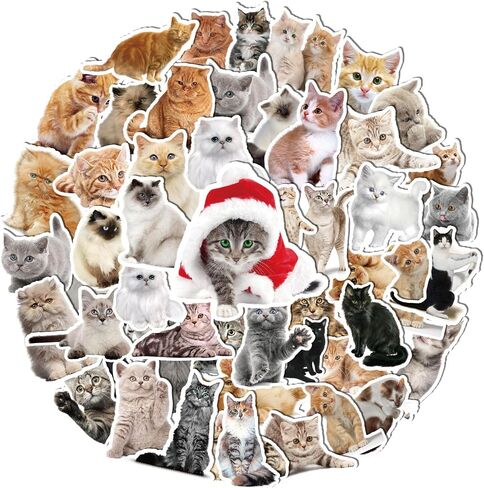100 Pcs Cat Stickers, Cute Meme Kitten Stickers for Water Bottles Laptop Guitar Suitcase, DIY Waterproof Vinyl Decals Gifts for Adults Teens Kids Boys Girls in Kuwait