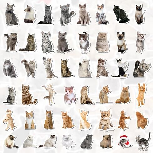 100 Pcs Cat Stickers, Cute Meme Kitten Stickers for Water Bottles Laptop Guitar Suitcase, DIY Waterproof Vinyl Decals Gifts for Adults Teens Kids Boys Girls in Kuwait
