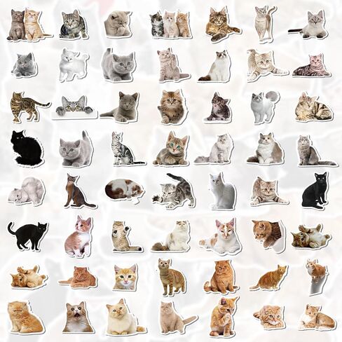 100 Pcs Cat Stickers, Cute Meme Kitten Stickers for Water Bottles Laptop Guitar Suitcase, DIY Waterproof Vinyl Decals Gifts for Adults Teens Kids Boys Girls in Kuwait
