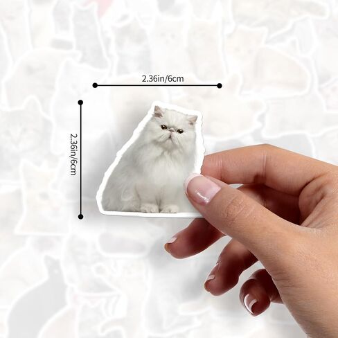 100 Pcs Cat Stickers, Cute Meme Kitten Stickers for Water Bottles Laptop Guitar Suitcase, DIY Waterproof Vinyl Decals Gifts for Adults Teens Kids Boys Girls in Kuwait