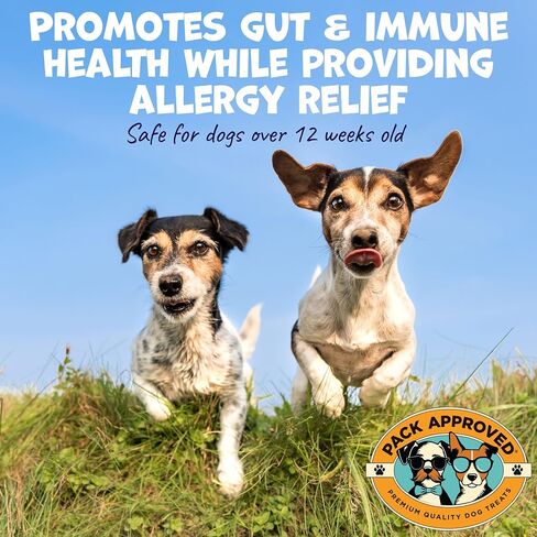 Dog Peanut Butter - with Ocean Kelp to Support Oral Care & Act as Dog Plaque and Tartar Remover - Lick Mat Treats for Bad Breath - Dental (8.46oz) in Saudi Arabia