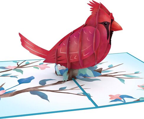 Lovepop Friendship Pop-Up Card for Her and Him - 3D Greeting Cards for Boys, Girls, Men, Women - 5" x 7" Sushi Card - Blank Note Card & Envelope Included in Kuwait